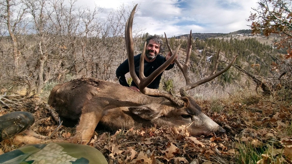 Colorado Big Game Hunts from Cassidy Outfitters